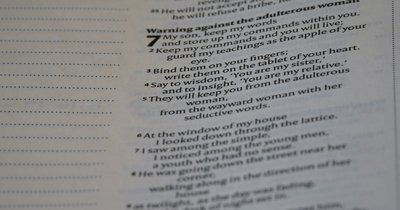 Leitfaden-Vorlage Word: Professionelle Gestaltung